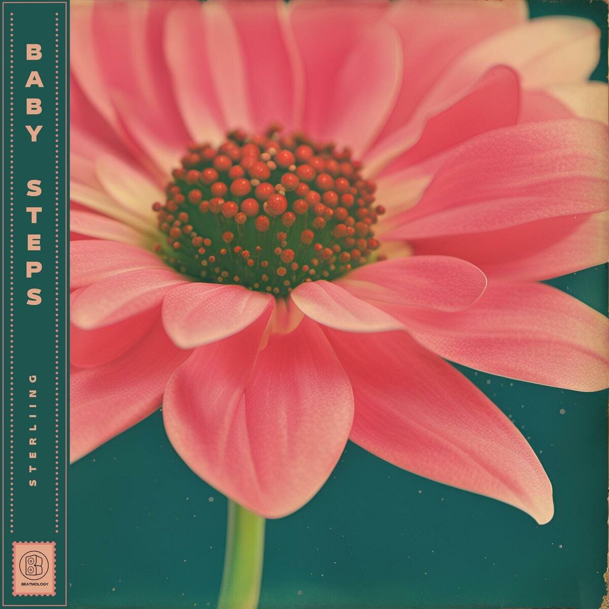 Album cover of Baby Steps