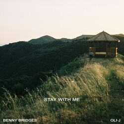 Cover of Stay With Me