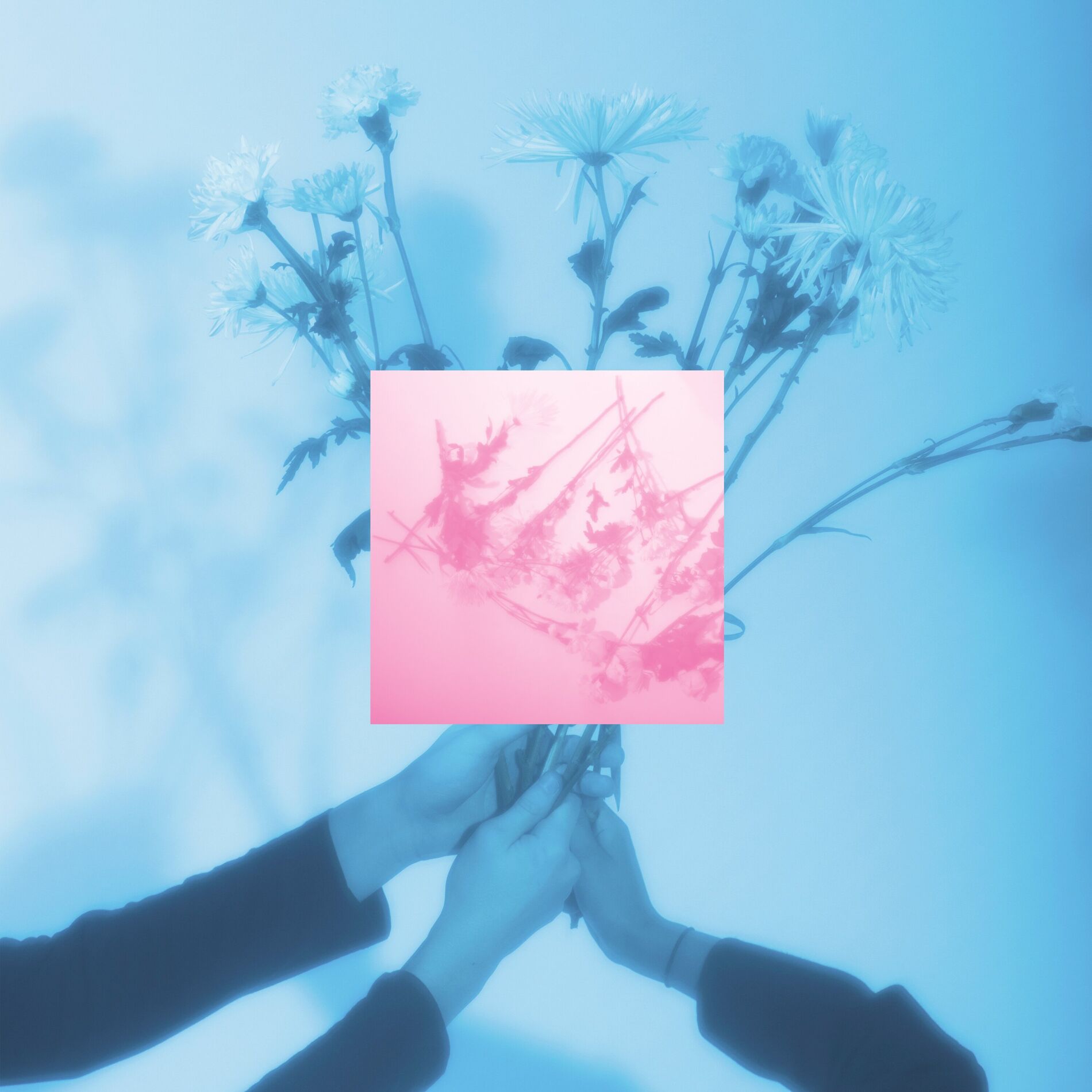 Album cover of Fleur
