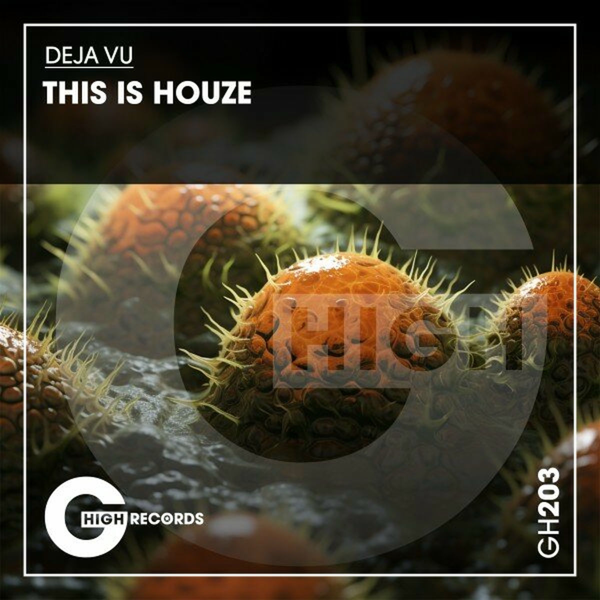 Album cover of This Is Houze