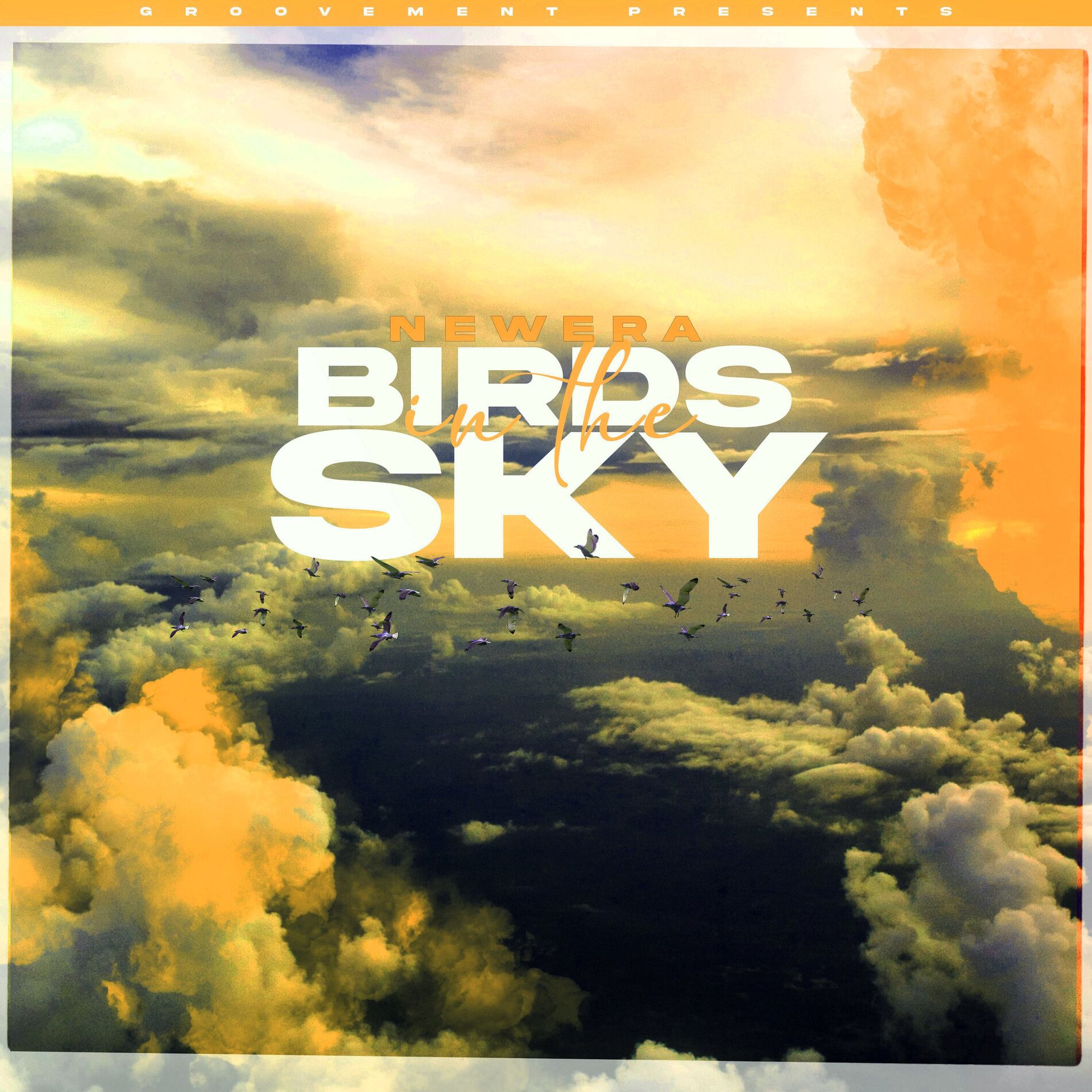 Album cover of Birds In The Sky