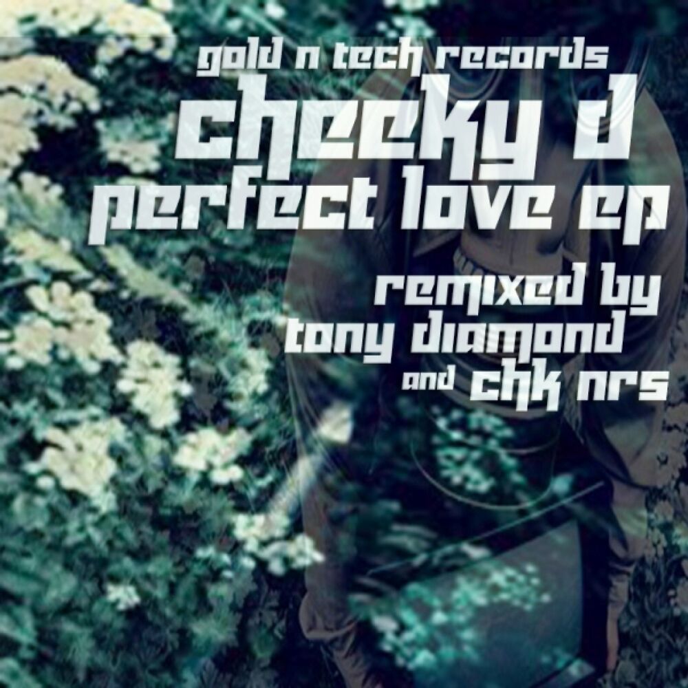 Picture of Perfect Love EP