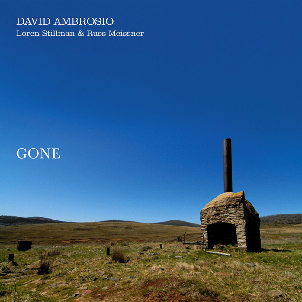 Picture of Gone