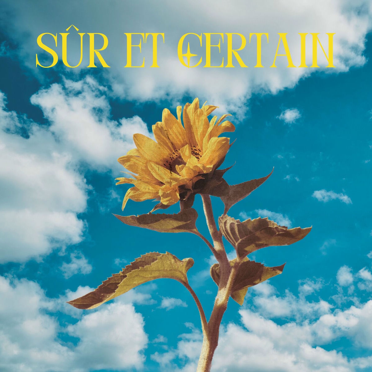 Album cover of Sûr et certain