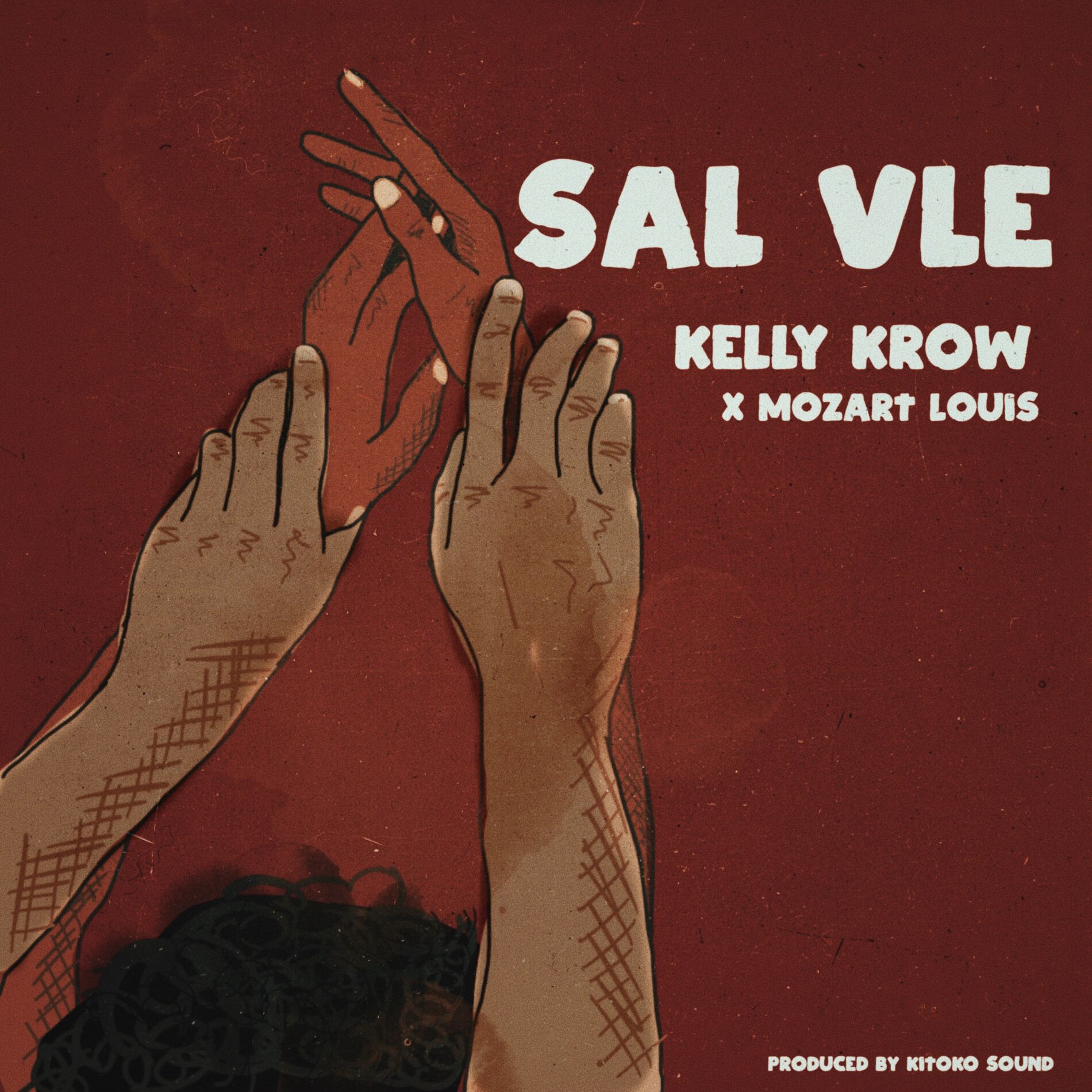Album cover of Sal Vle