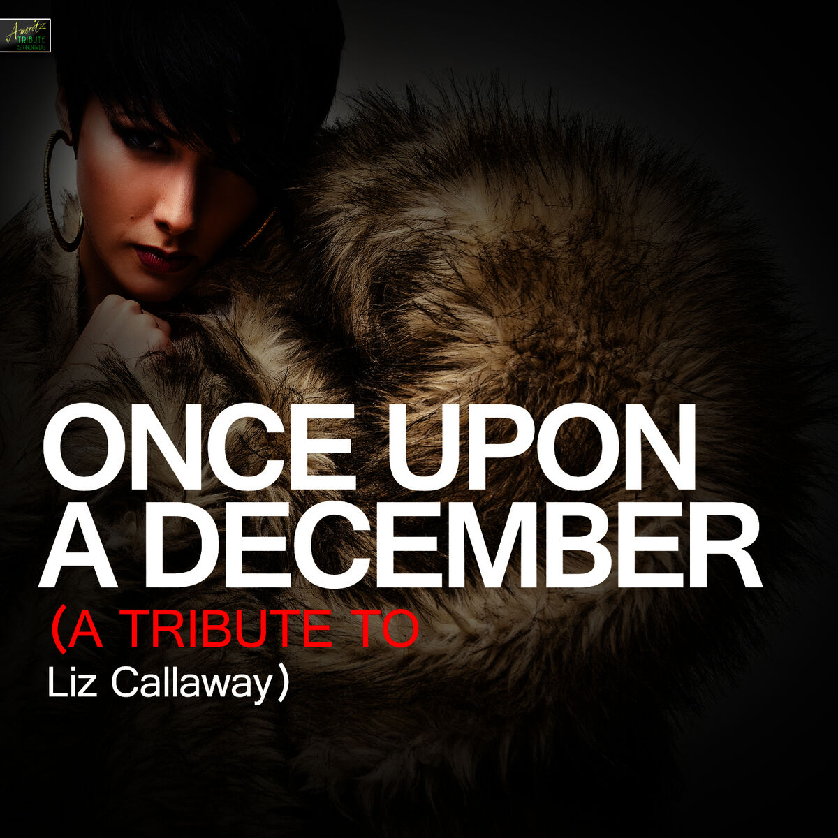 Album cover of Once Upon a December (A Tribute to Liz Callaway)