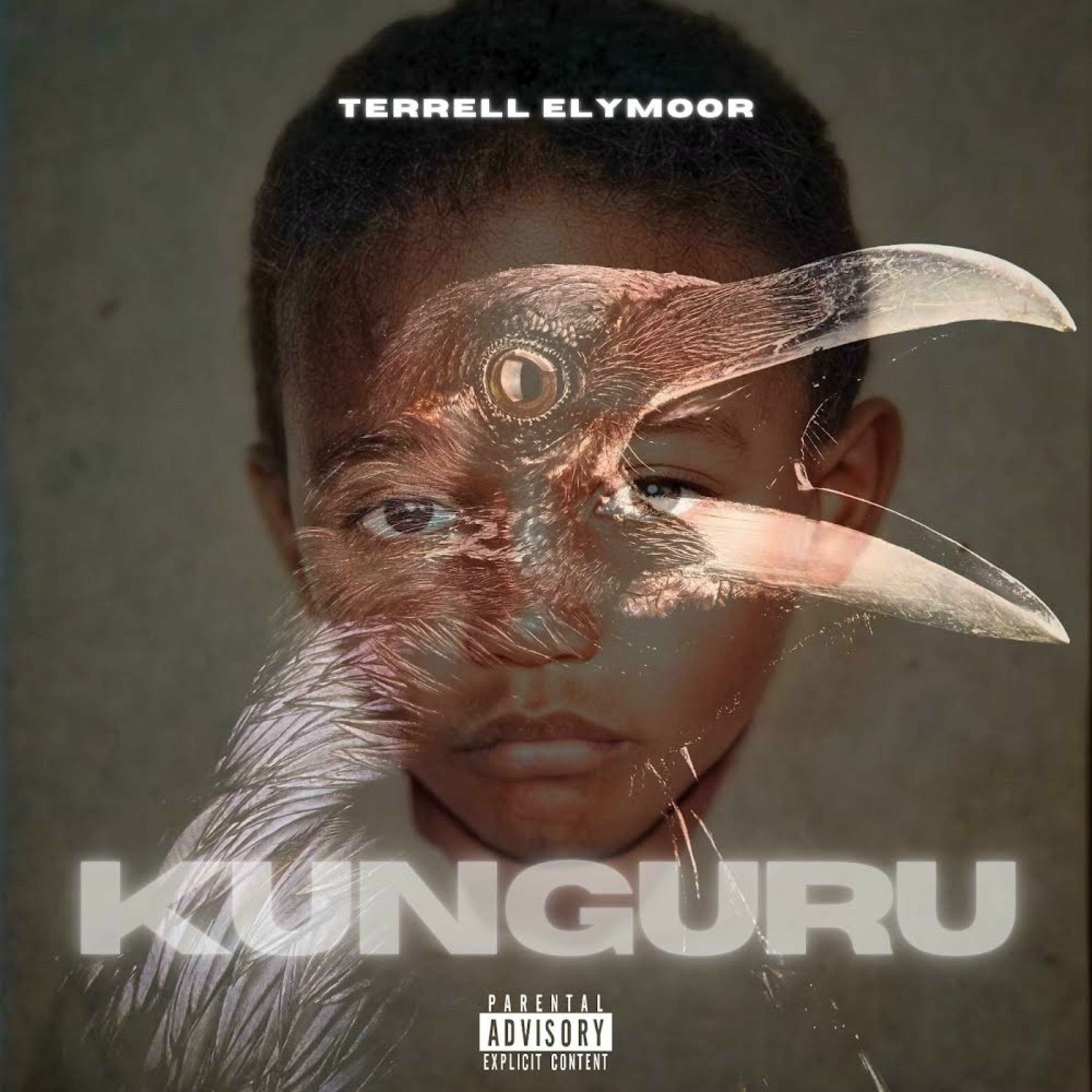 Album cover of KUNGURU