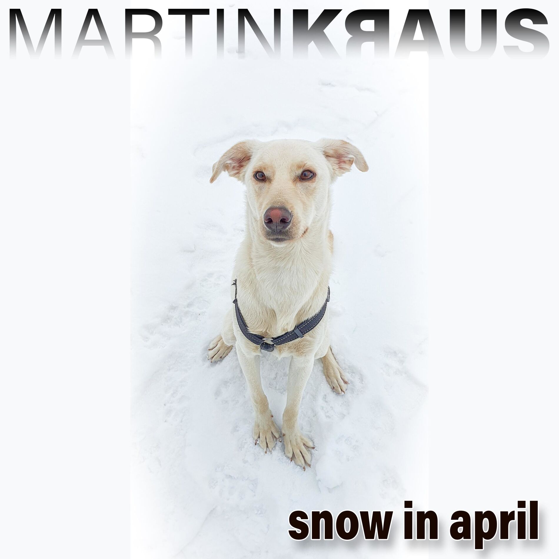 Album cover of Snow In April