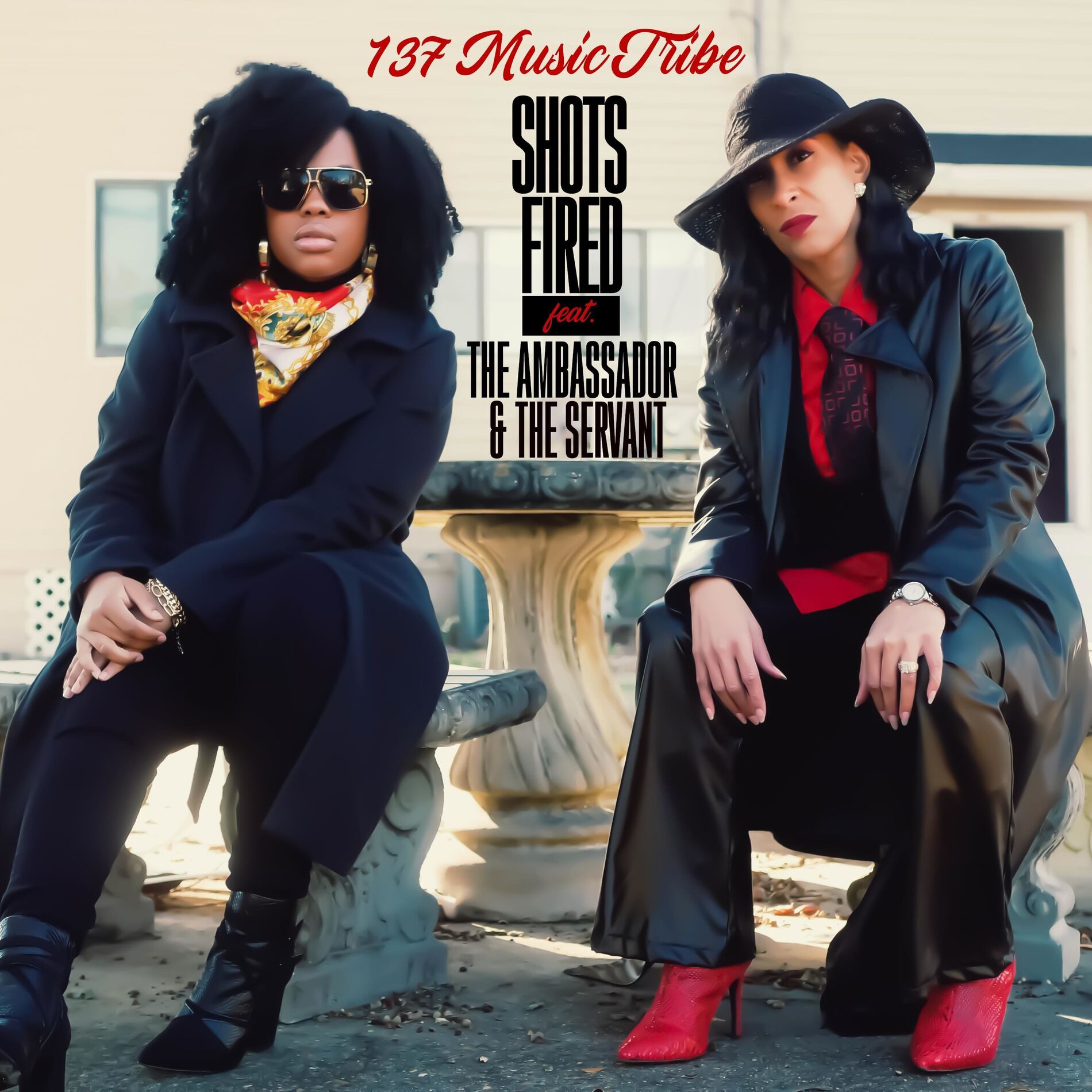 Album cover of Shots Fired (feat. The Ambassador & The Servant)