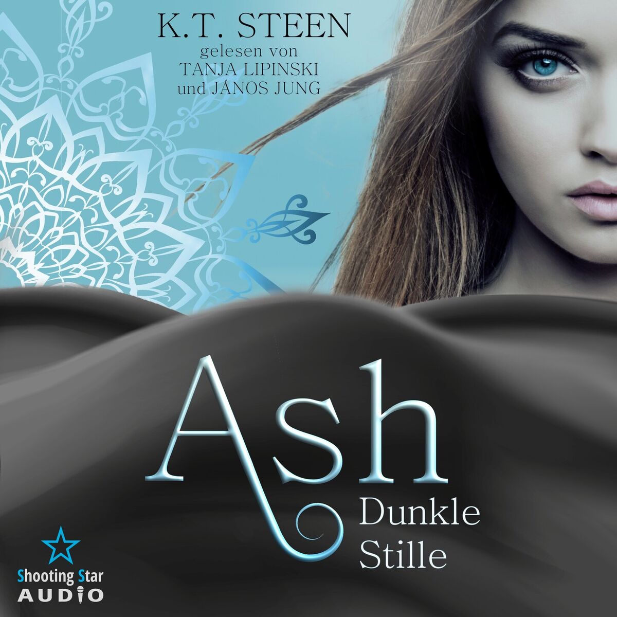Album cover of Ash - Dunkle Stille - Noir-Saga, Band 1 (ungekürzt)