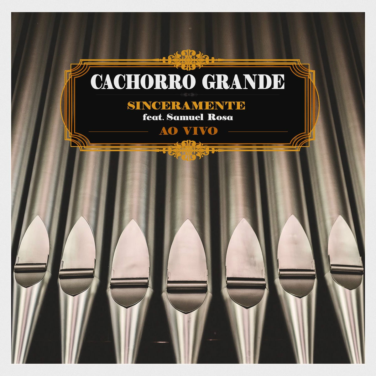 Album cover of Sinceramente (Ao Vivo)