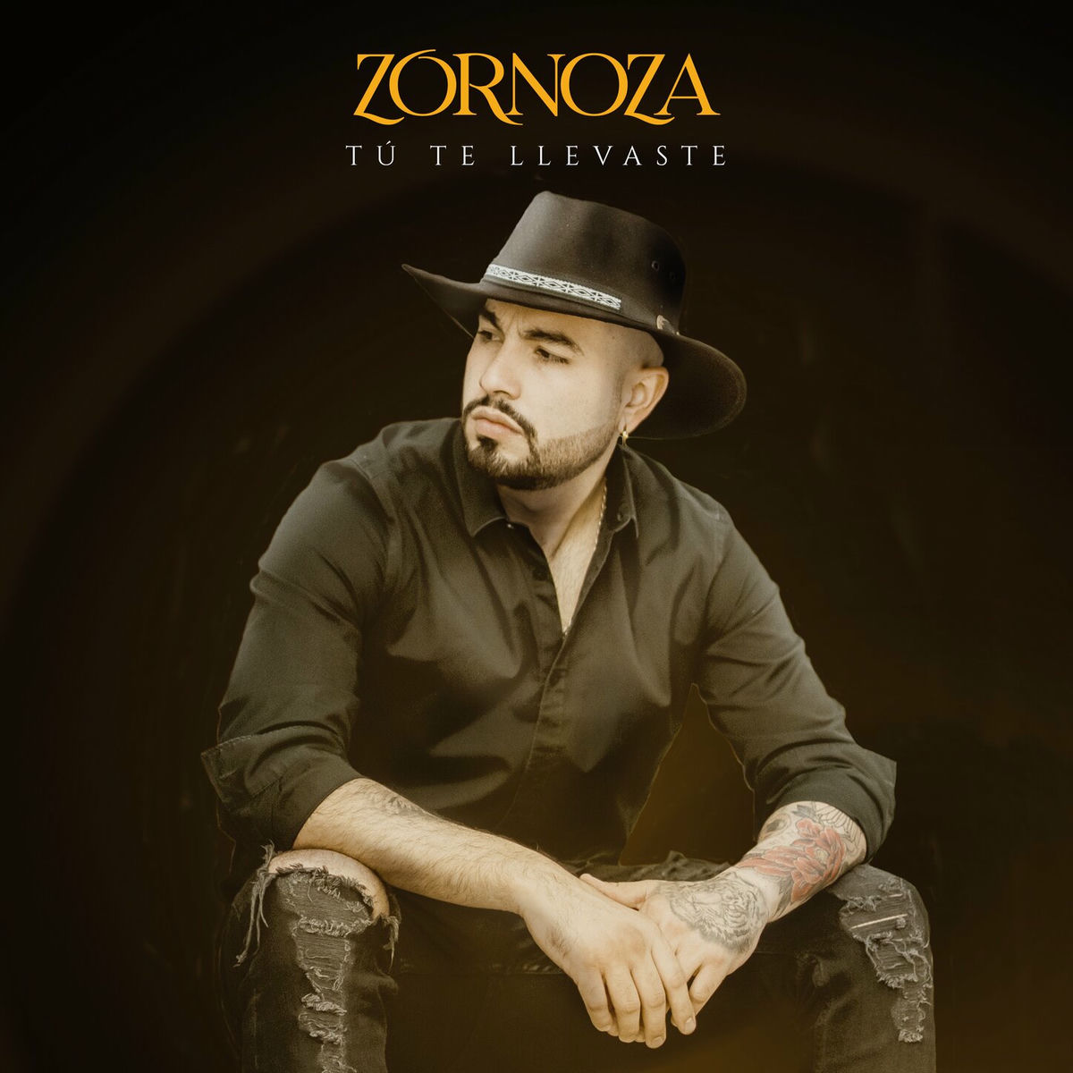 Album cover of Tu Te Llevaste