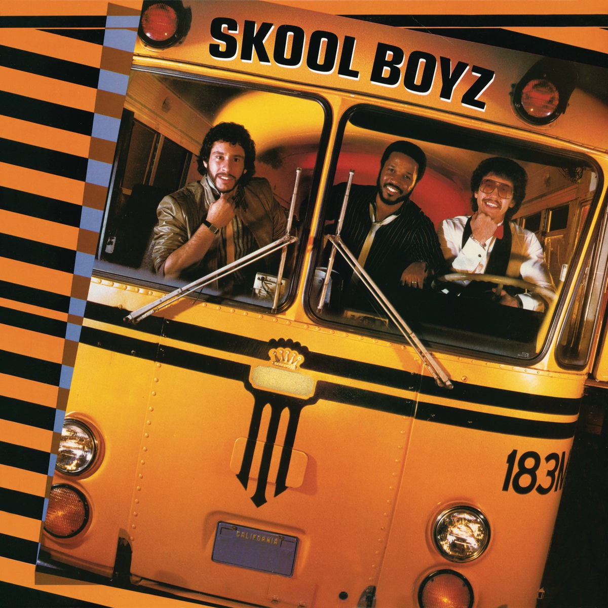 Album cover of Skool Boyz