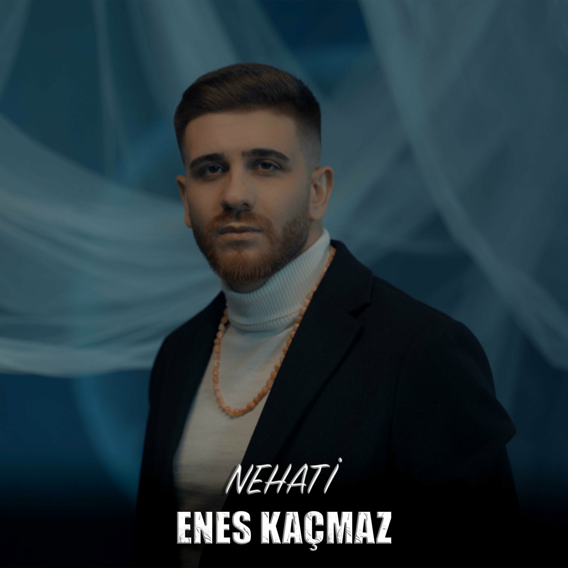 Album cover of NEHATİ