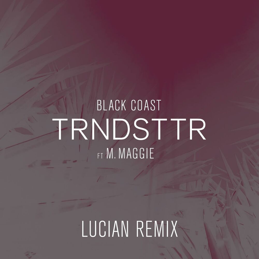 Picture of Trndsttr (feat. M. Maggie) (Lucian Remix)