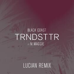 Cover of Trndsttr (feat. M. Maggie) (Lucian Remix)