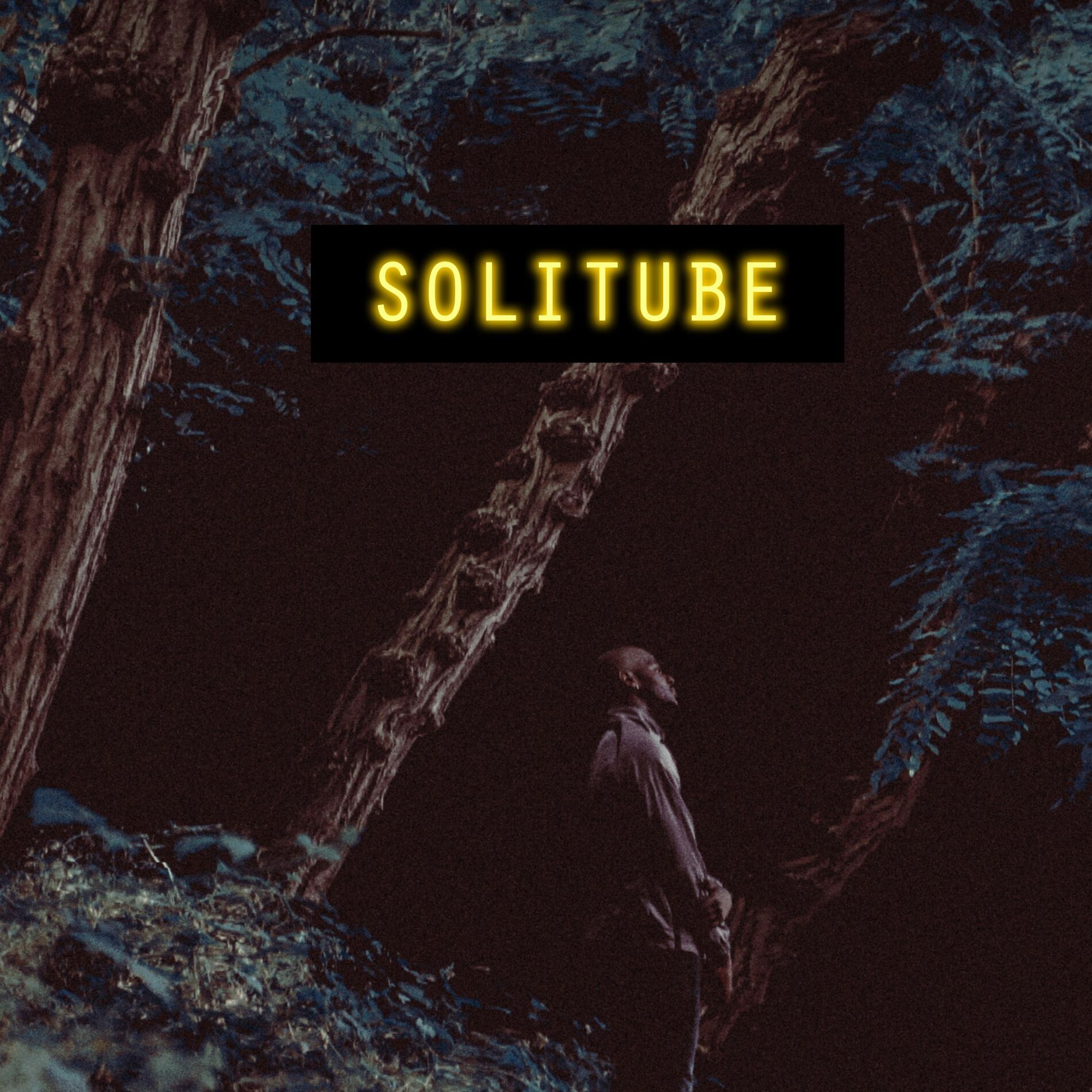 Album cover of Solitube