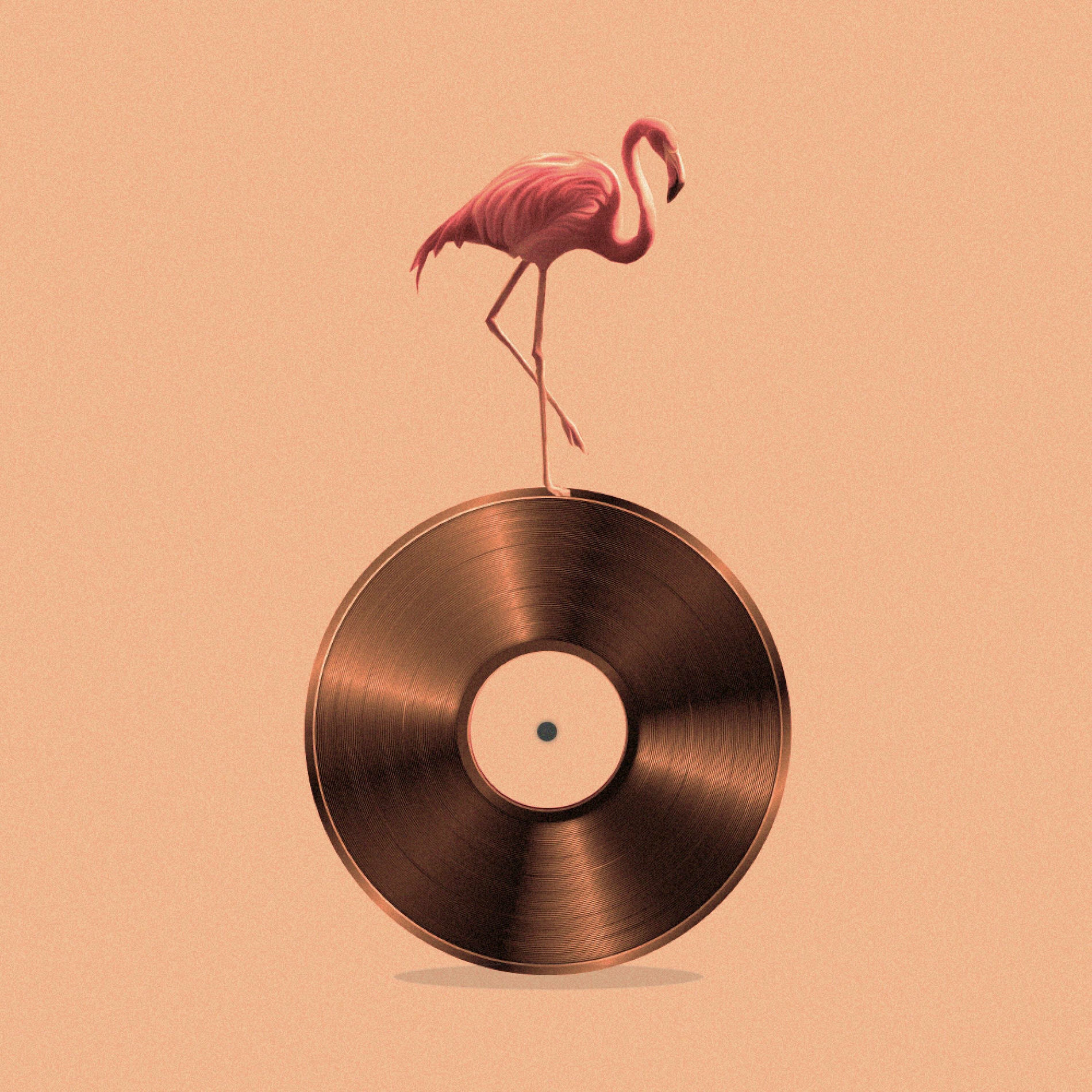 Album cover of Summer Groove