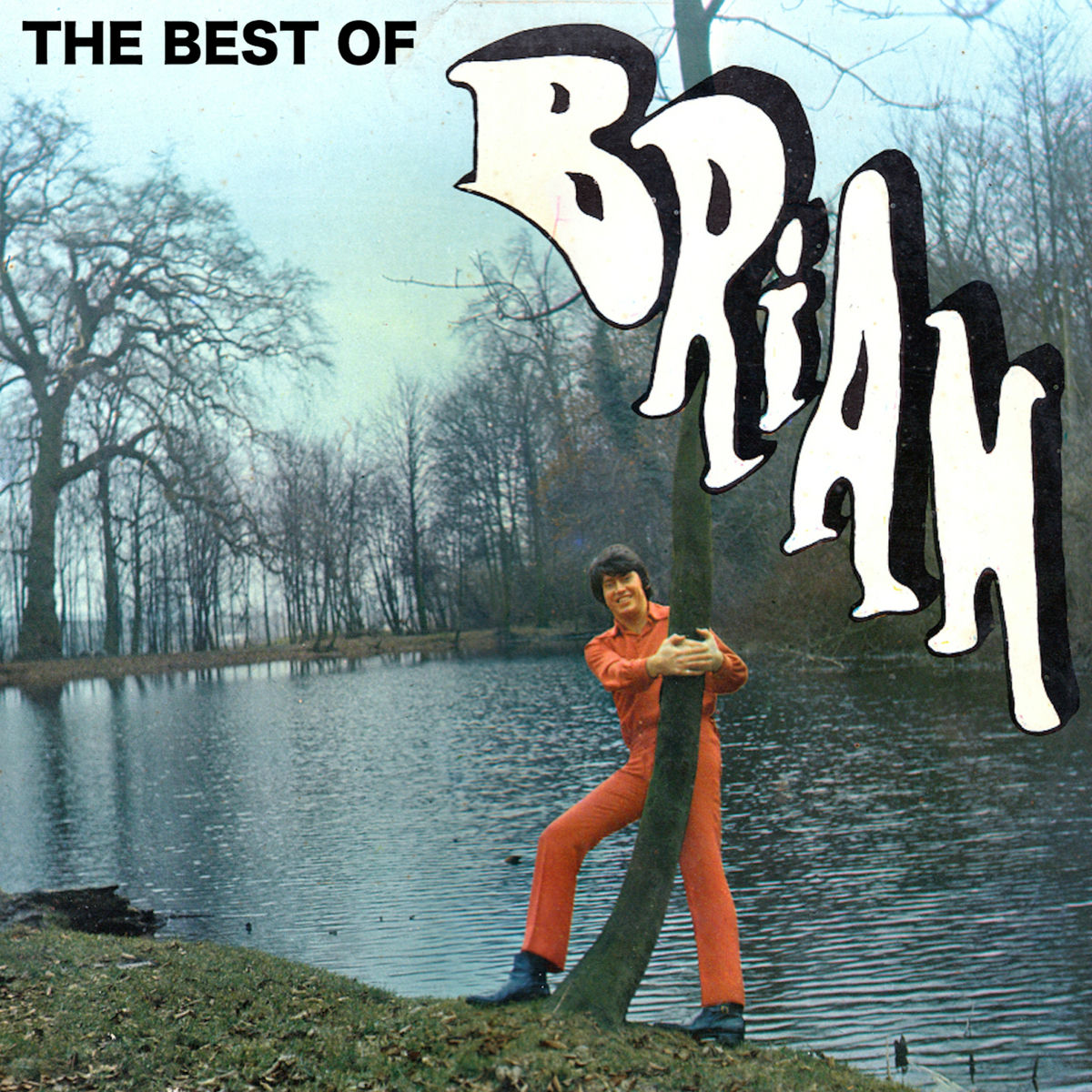 Album cover of The Best of Brian