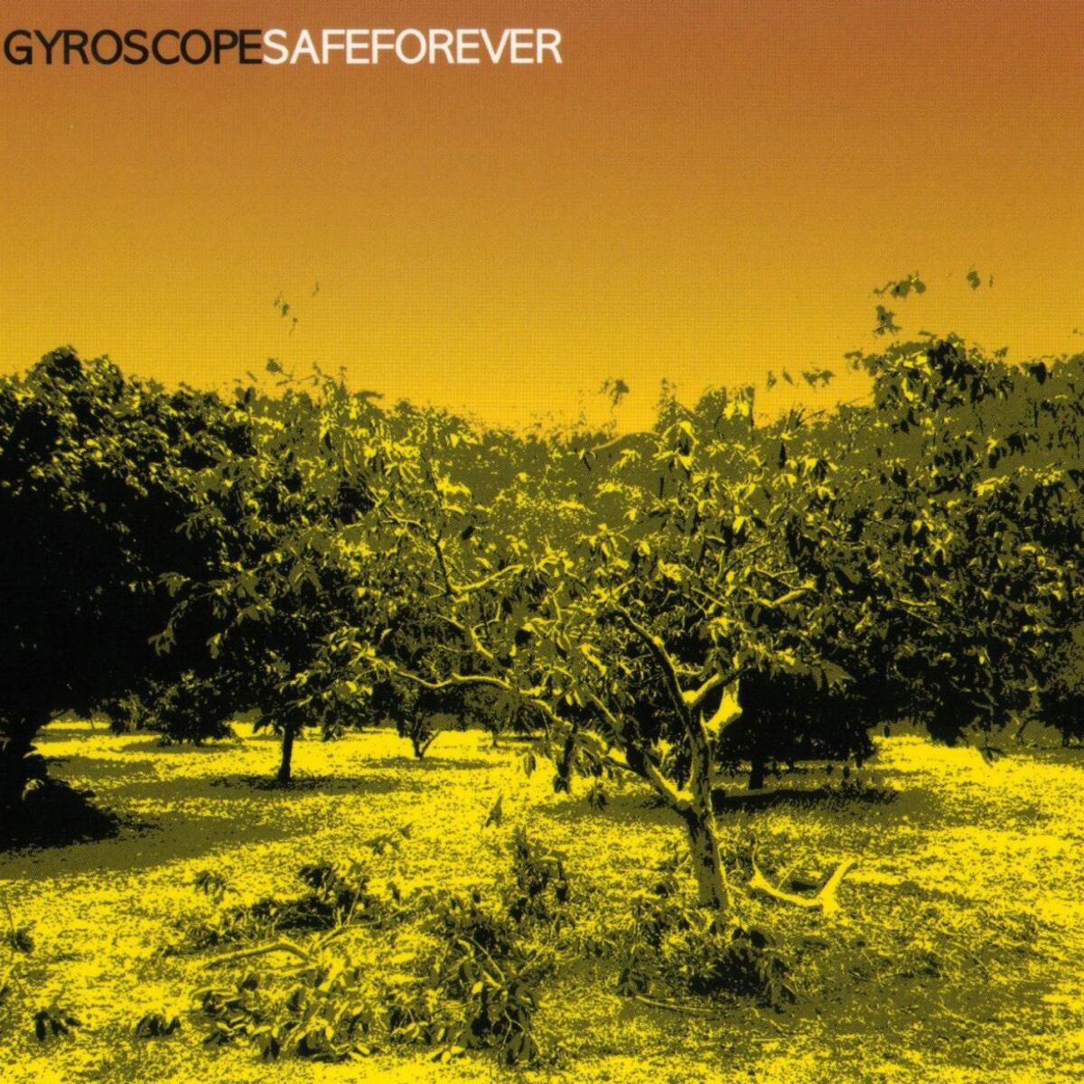 Album cover of Safe Forever