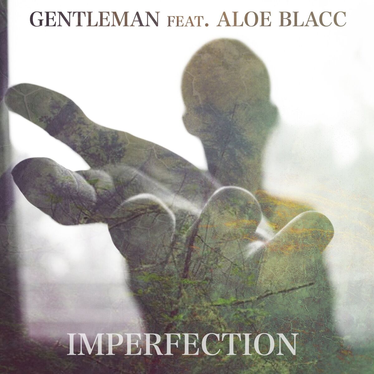 Album cover of Imperfection