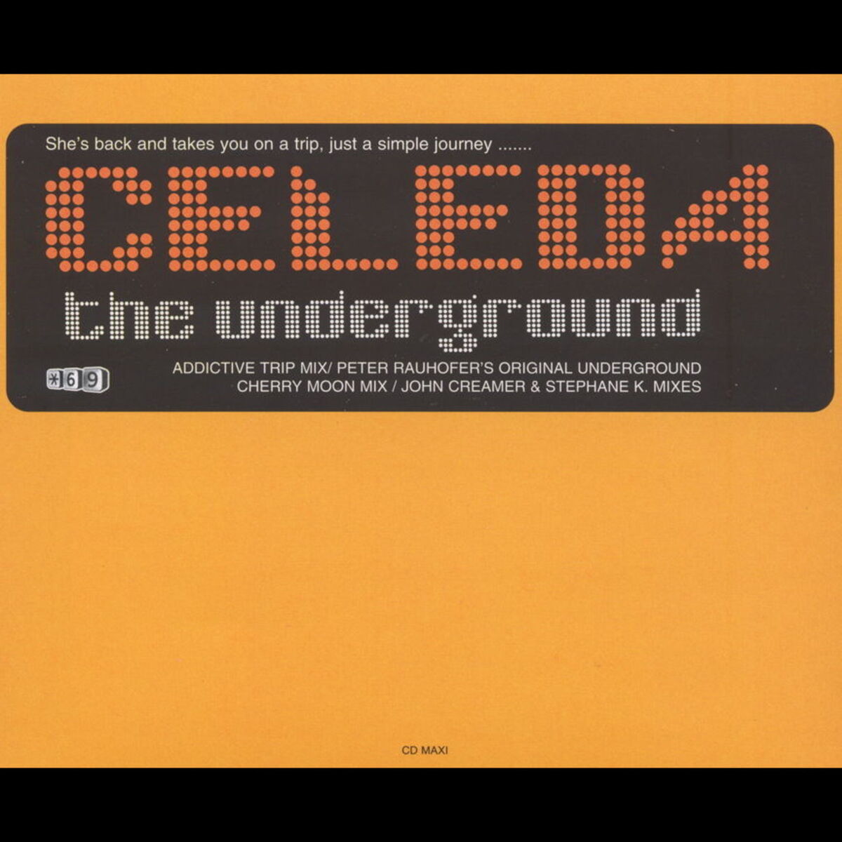 Album cover of Radio version