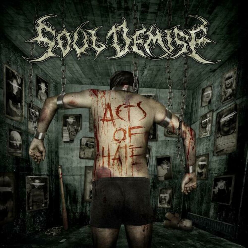Picture of Acts of Hate