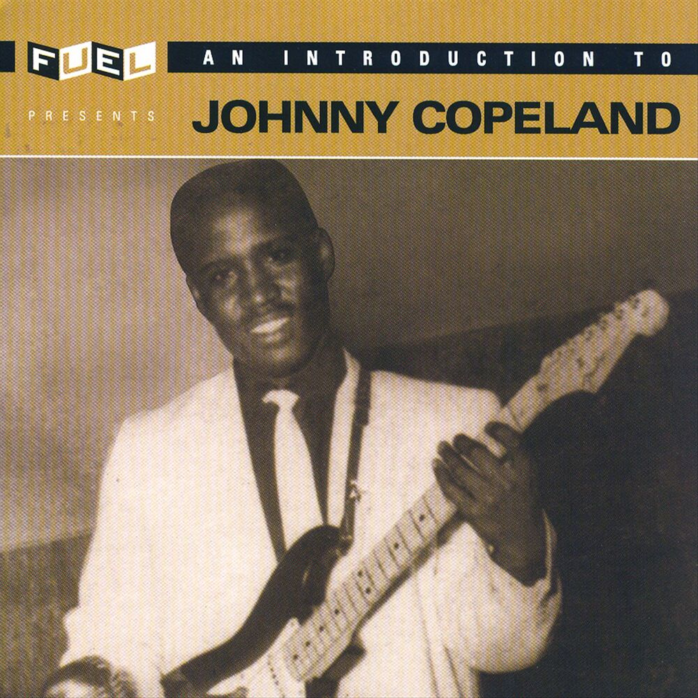 Picture of An Introduction To Johnny Copeland