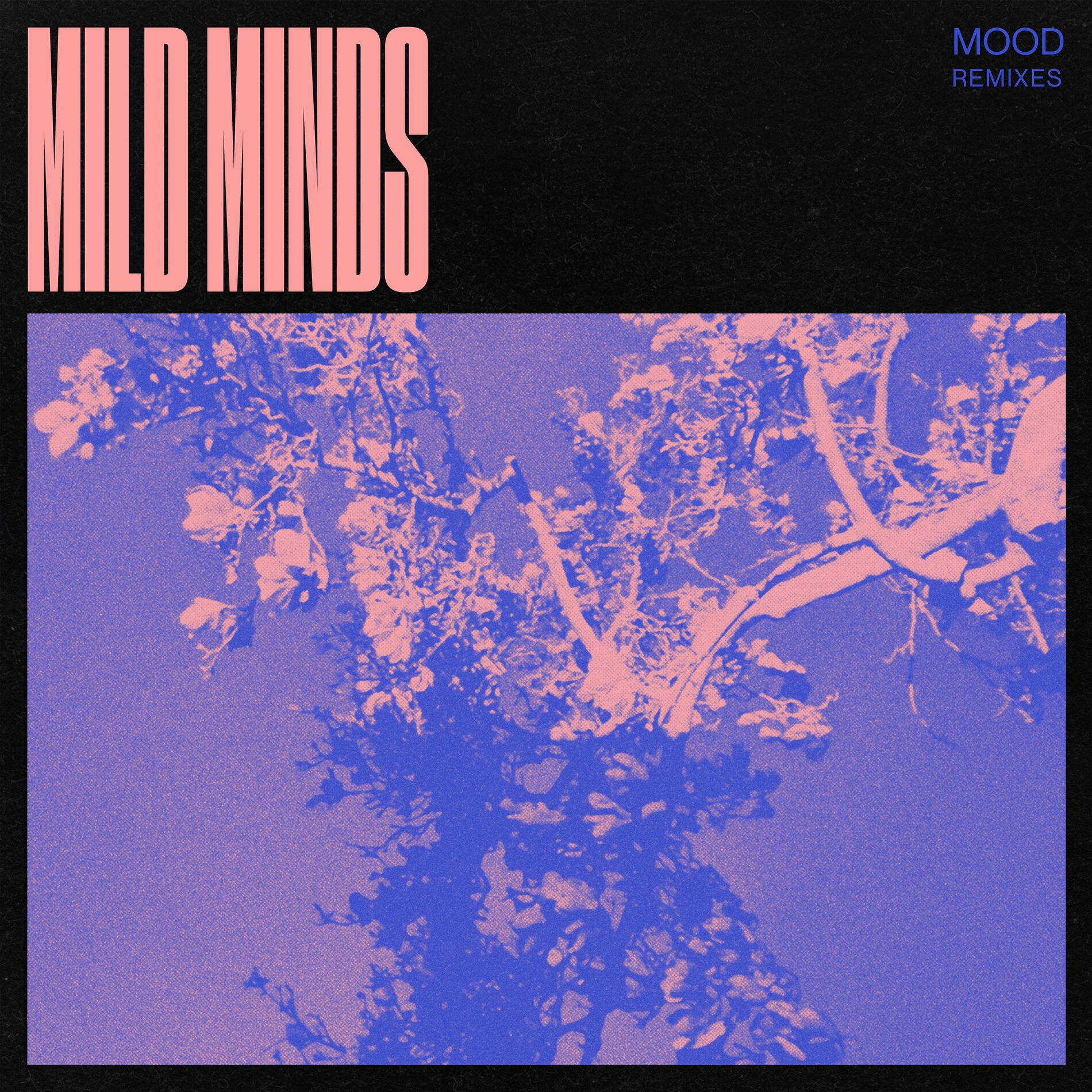 Album cover of MOOD (Remixes)