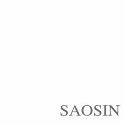 Cover of Translating the Name