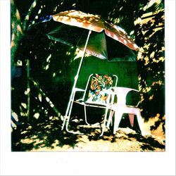 Cover of Nothing but Ringo