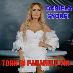 Cover of Torn in Paharele Vin