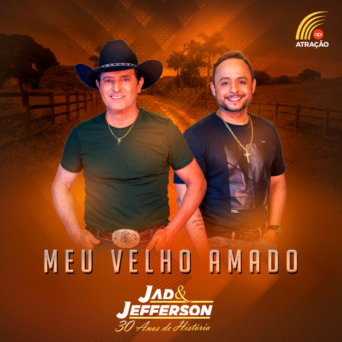 Album cover of Meu Velho Amado