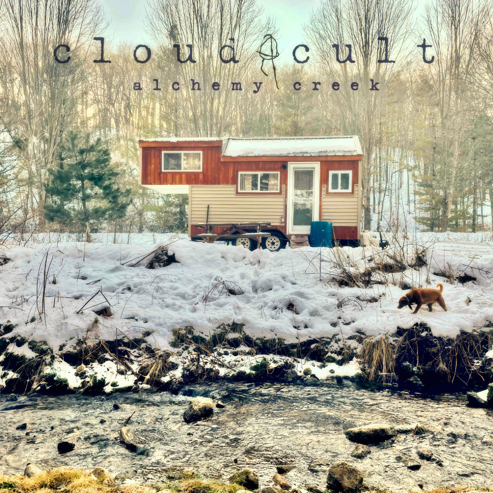 Album cover of I Am A Force Field