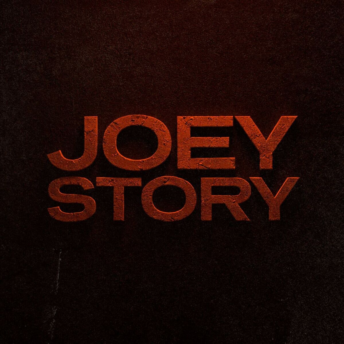 Album cover of Joey Story