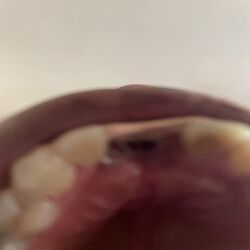 Cover of Frick Poo