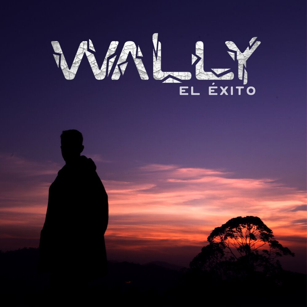 Picture of El Éxito