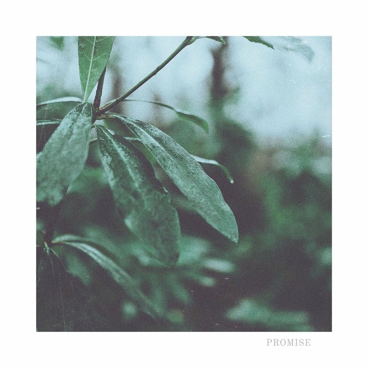 Album cover of Promise