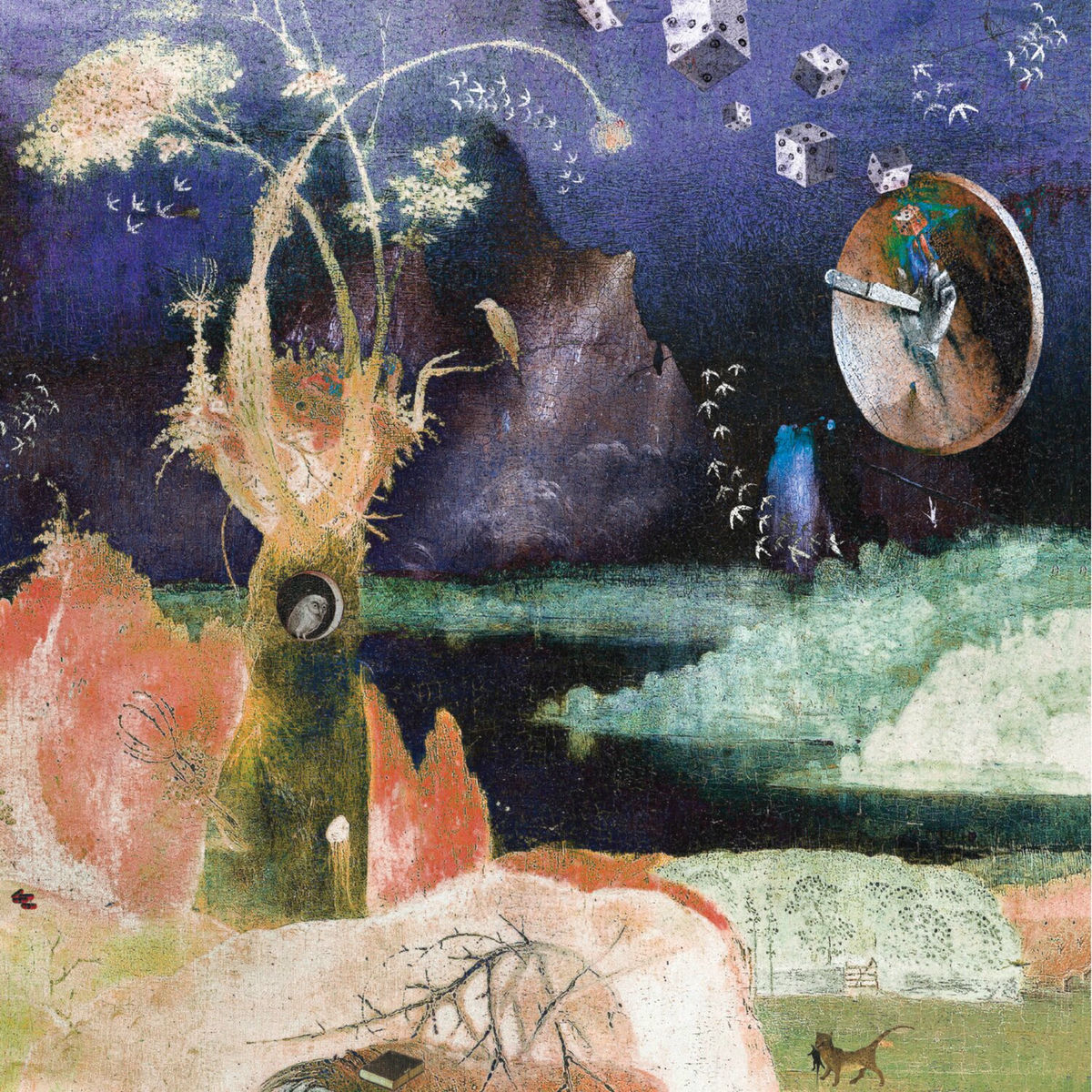 Album cover of Expansions