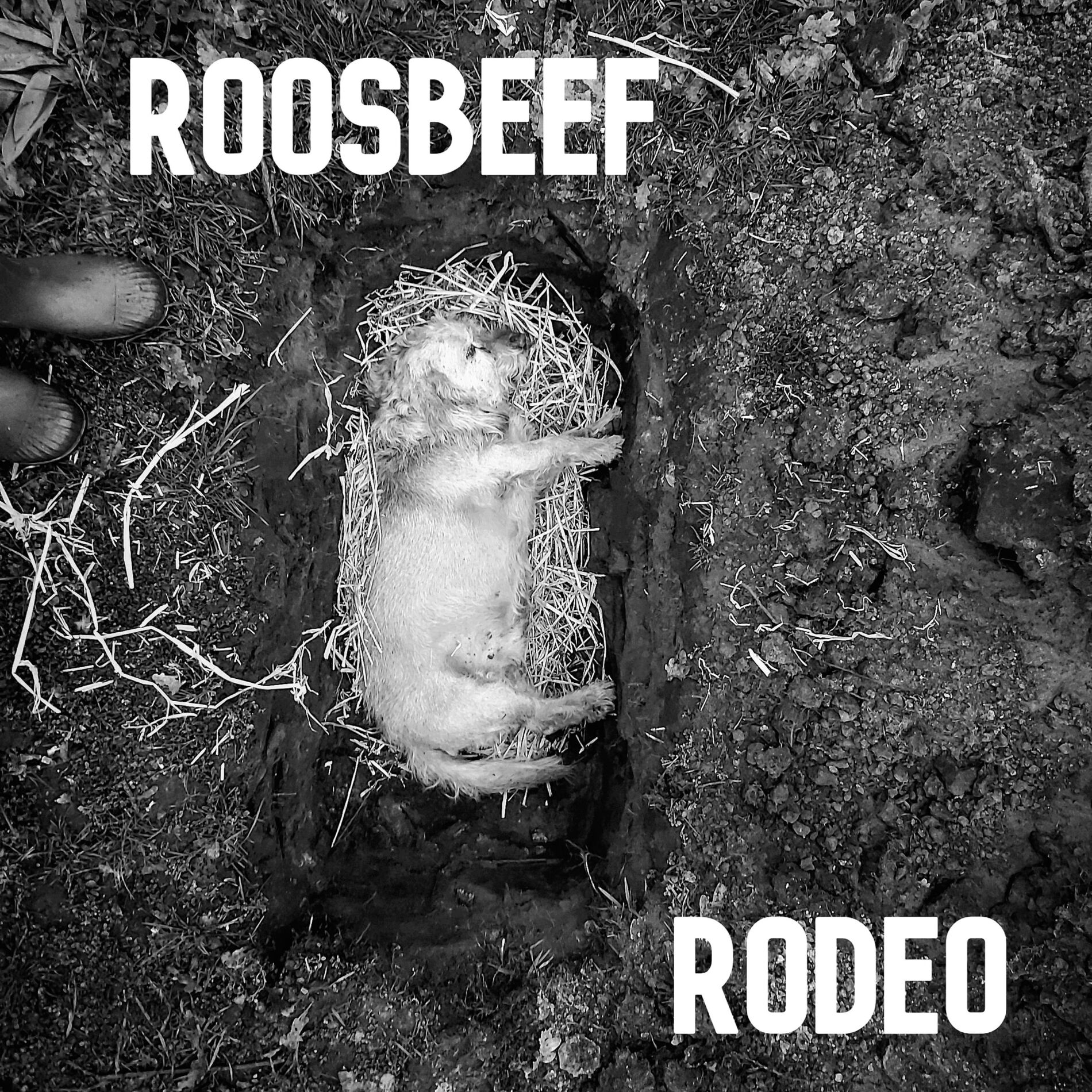 Album cover of Rodeo (Single Edit)