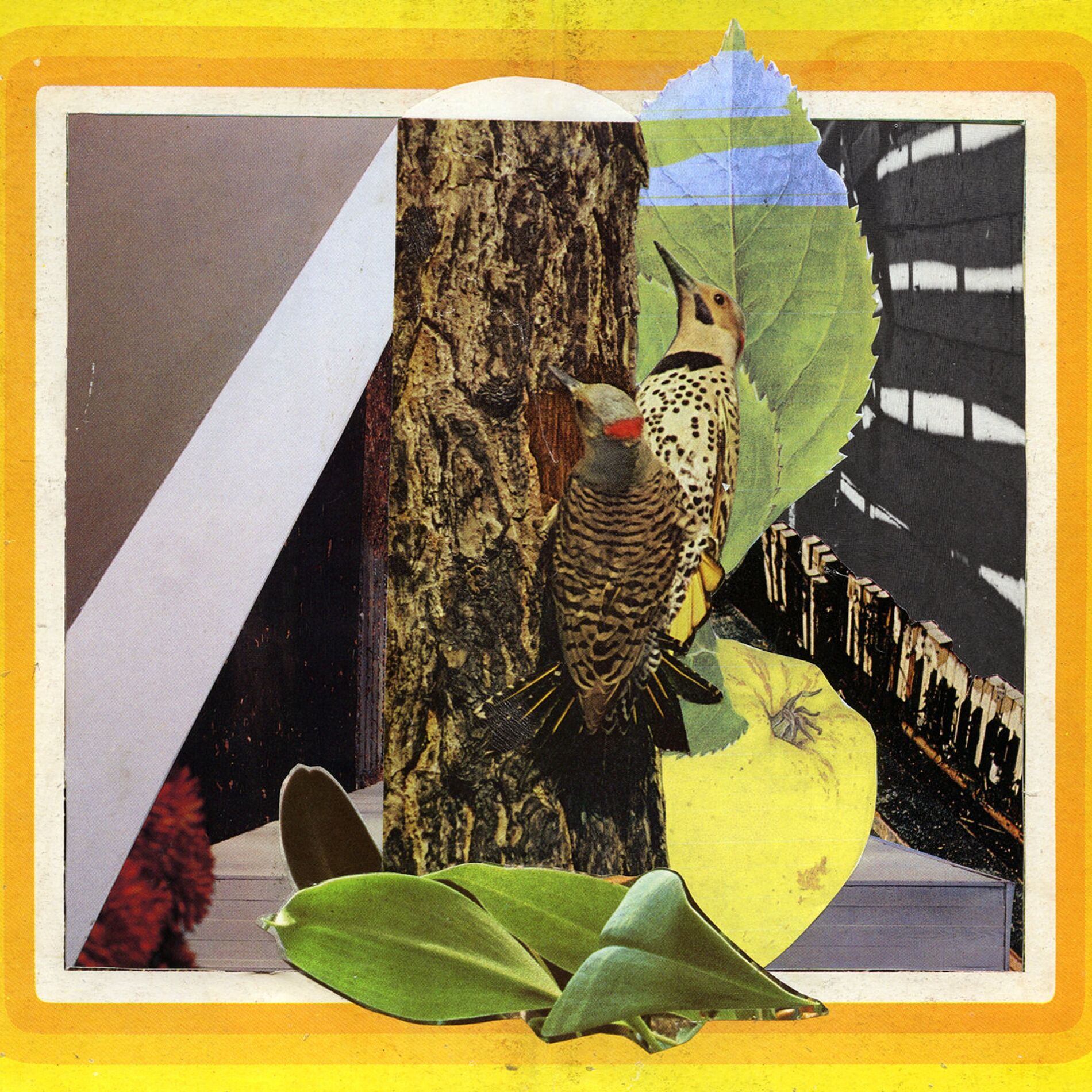 Album cover of Close Enough To Hear The Flutter (feat. Ambient Endeavors, We Dream Of Eden & Patrick Spatz)