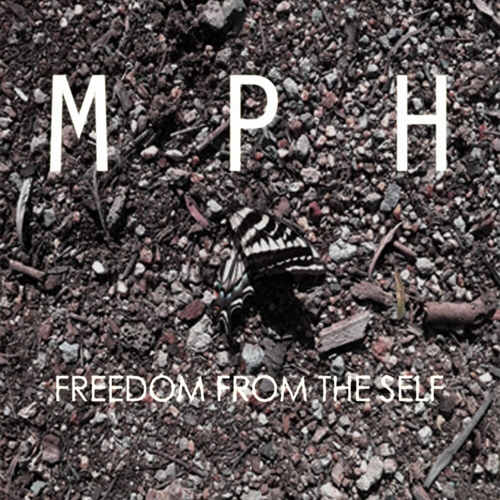 Picture of Freedom from the Self