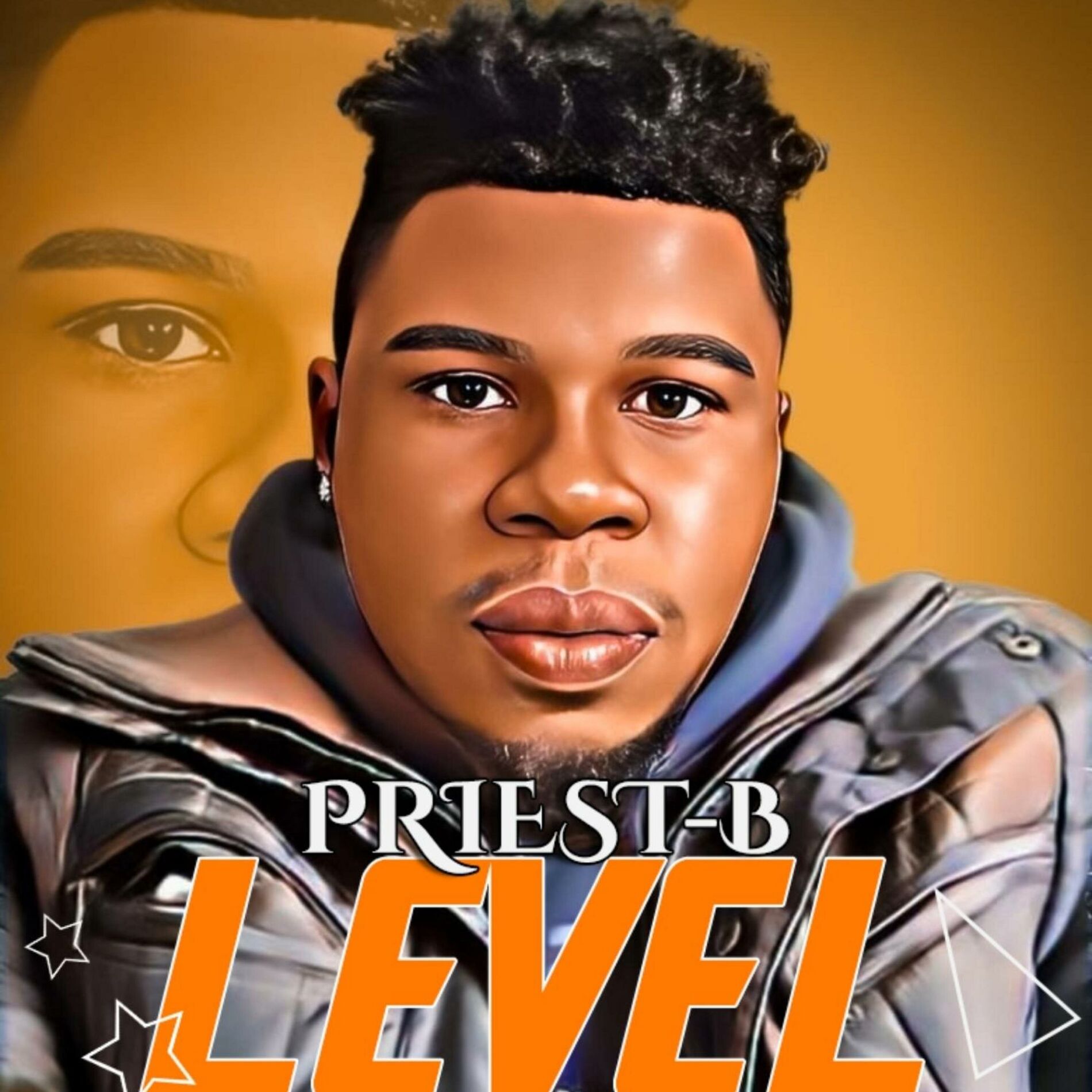 Album cover of Level