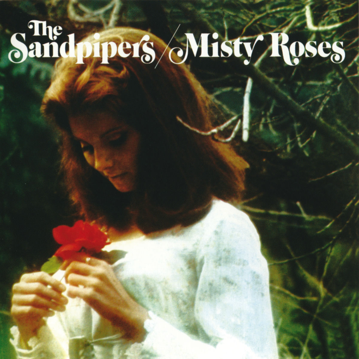 Album cover of Misty Roses