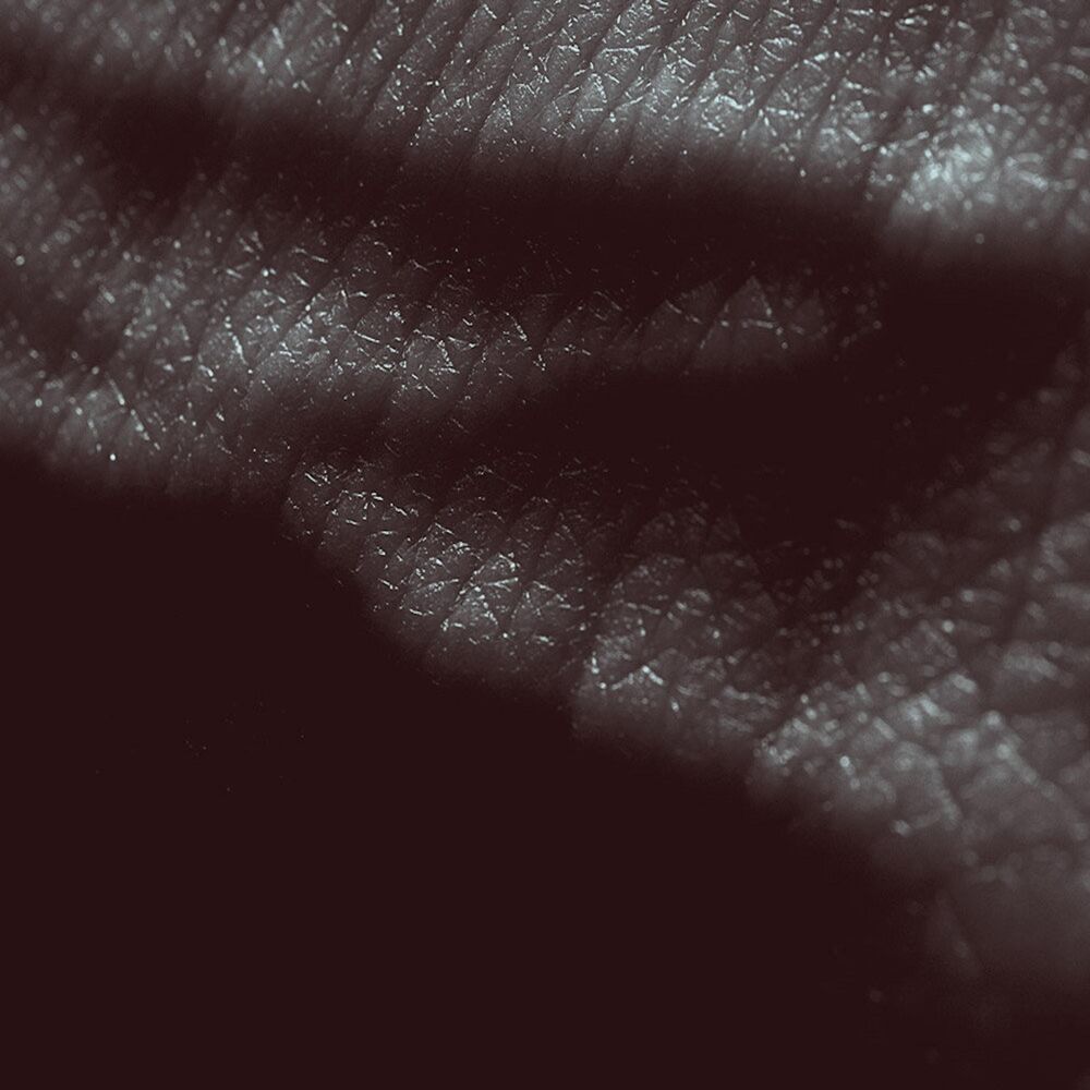 Picture of Posthuman Deluxe