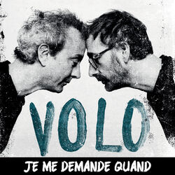 Cover of Je me demande quand
