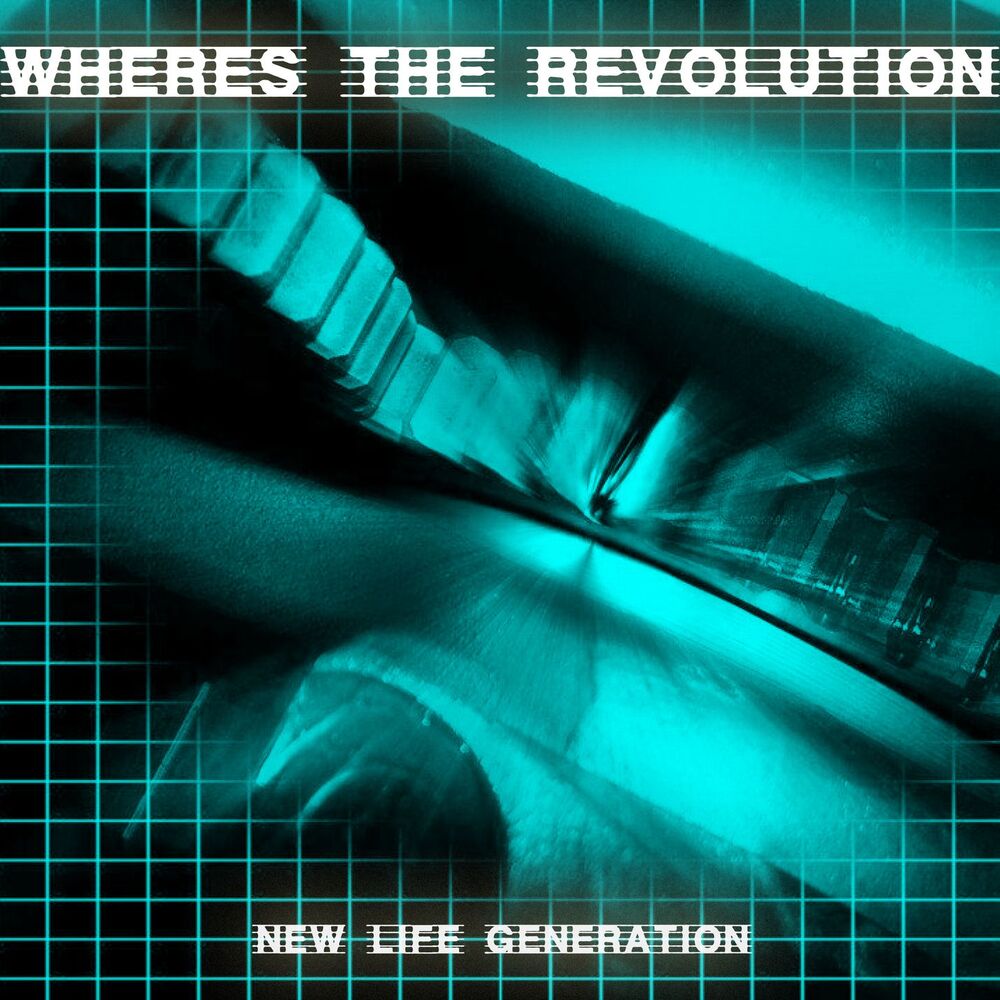Picture of Where's the Revolution