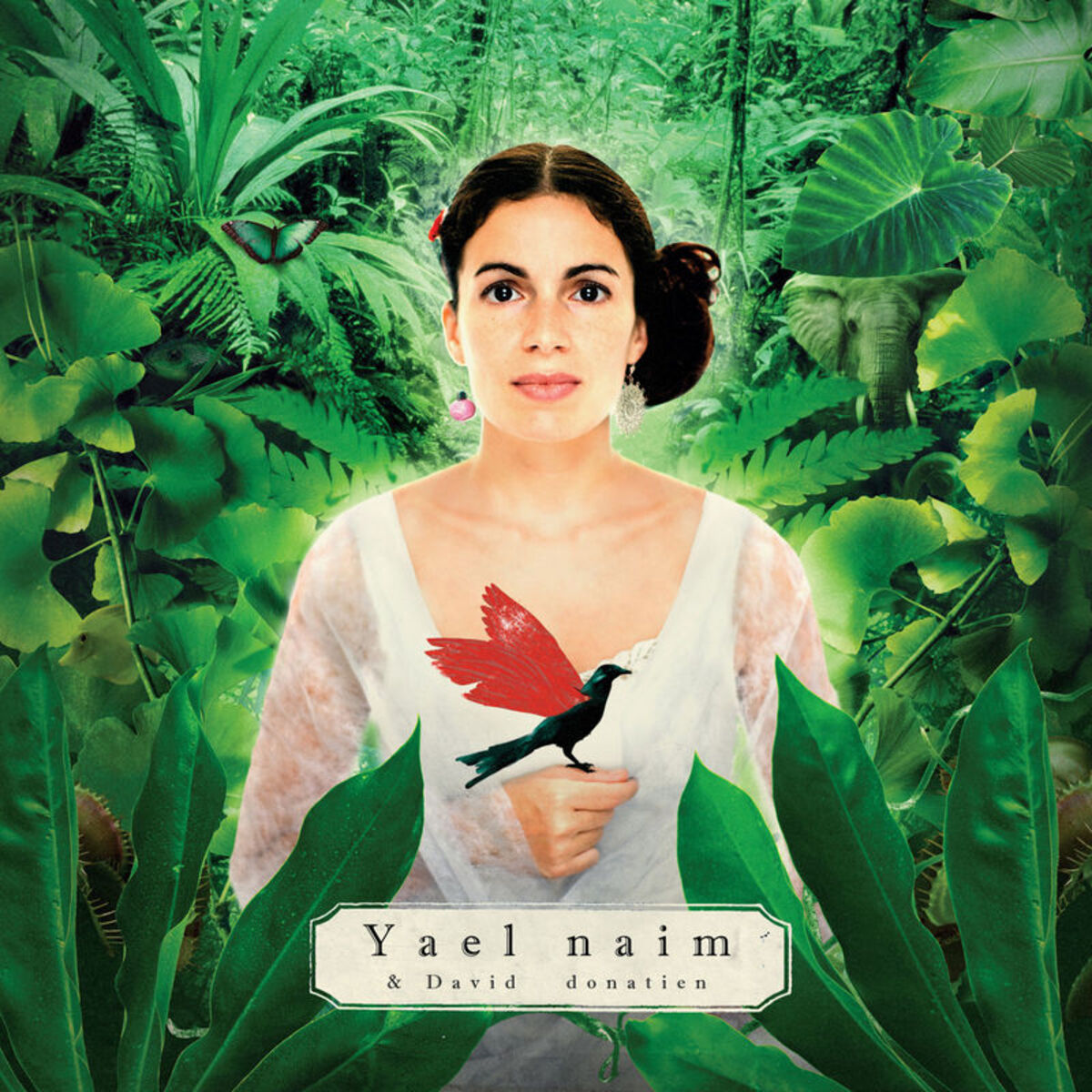 Album cover of She Was a Boy