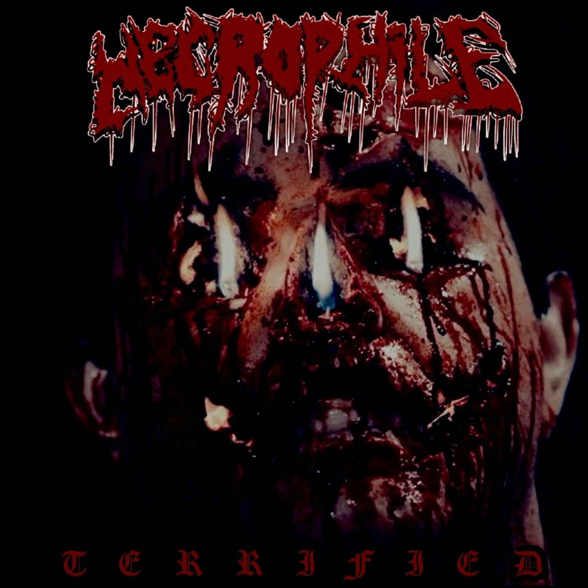 Album cover of Terrified