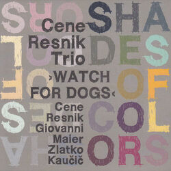 Cover of Shades of Colors